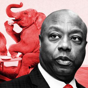 A photo including Tim Scott and Elephants