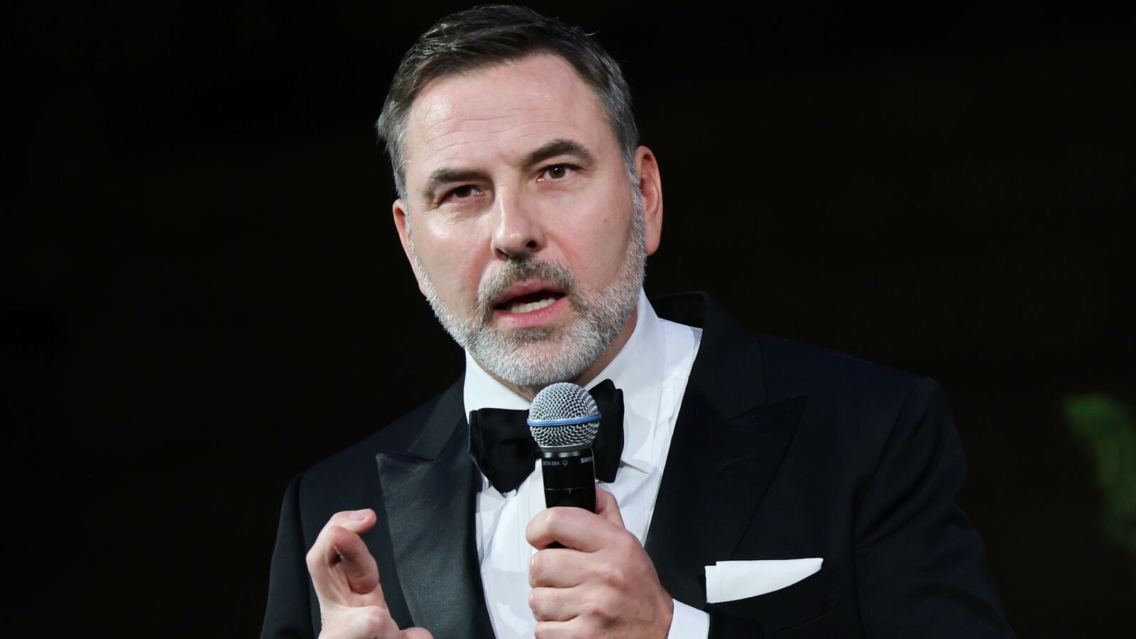 David Walliams