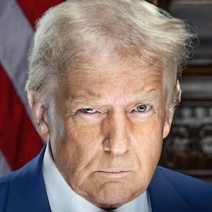 Donald Trump protrait