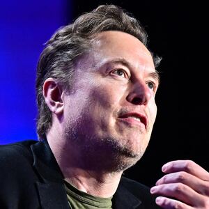 Elon Musk and Steve Bannon