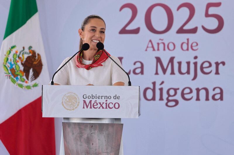 Mexico's President Claudia Sheinbaum revealed on Saturday, May 3, that she rejected a proposal by President Trump to send U.S. troops into Mexico to fight the cartels.