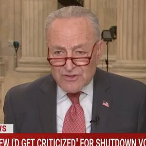 Chuck Schumer speaks to MSNBC from the Capitol.
