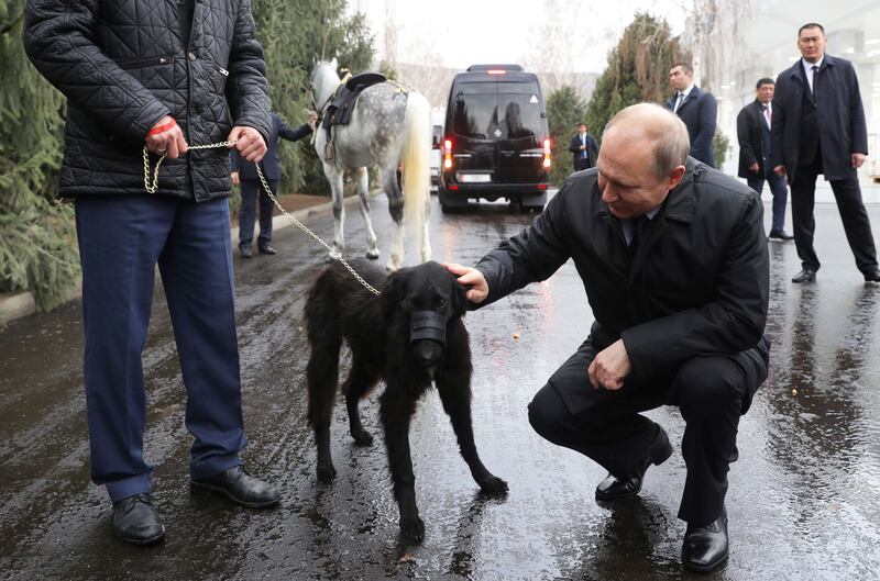 Russian President Vladimir Putin strokes a dog, a Kyrgyz greyhound, or Taigan, presented by his Kyrgyz counterpart Sooronbay Jeenbekov, after the talks in Bishkek, Kyrgyzstan March 28, 2019.