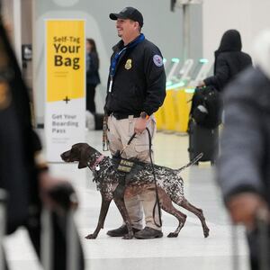 TSA dog Lara with her handler Eric Vega are shown in Terminal A at George Bush Intercontinental Airport Wednesday, Jan. 22, 2025, in Houston.