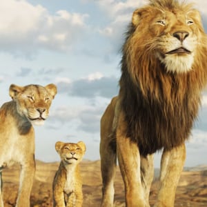'Mufasa'