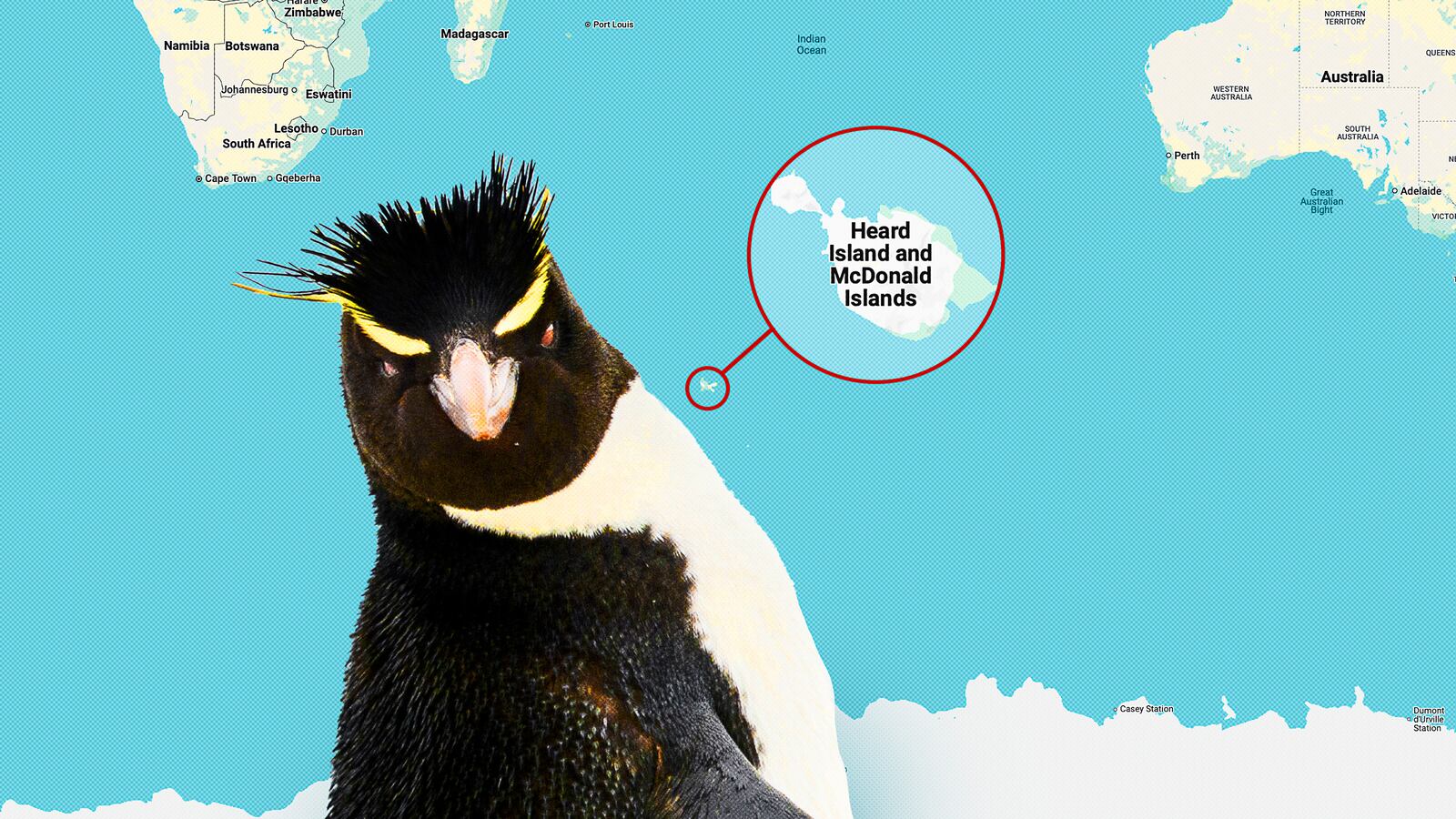 The Trump administration places tariffs on the uninhabited Heard and McDonalds Islands.