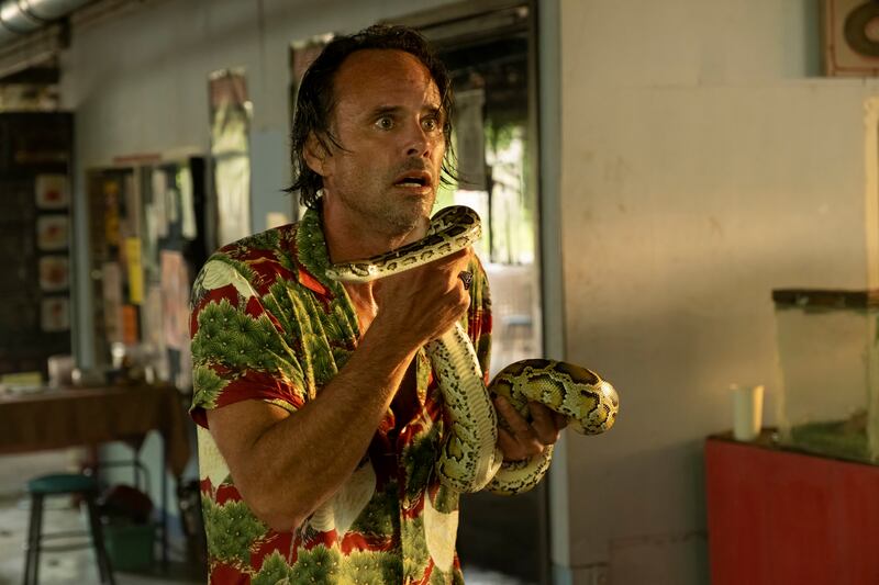 Walton Goggins as Rick in White Lotus season 3