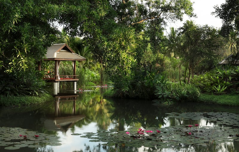 Lagoon view