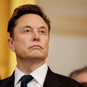 Elon Musk watches President Donald Trump's inauguration in January.