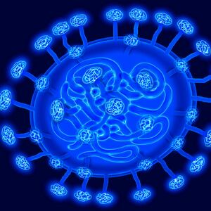 200219-coronavirus-explainer-tease_qy0y4u