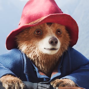Paddington in Peru