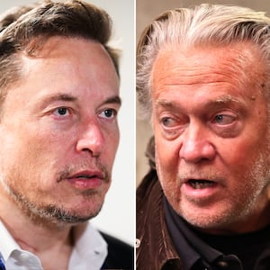 Elon Musk and Steve Bannon