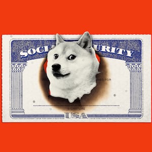 Doge dog breaking through a Social Security Administration card