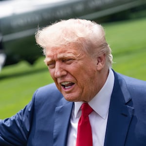 President Donald Trump on the South Lawn of the White House.