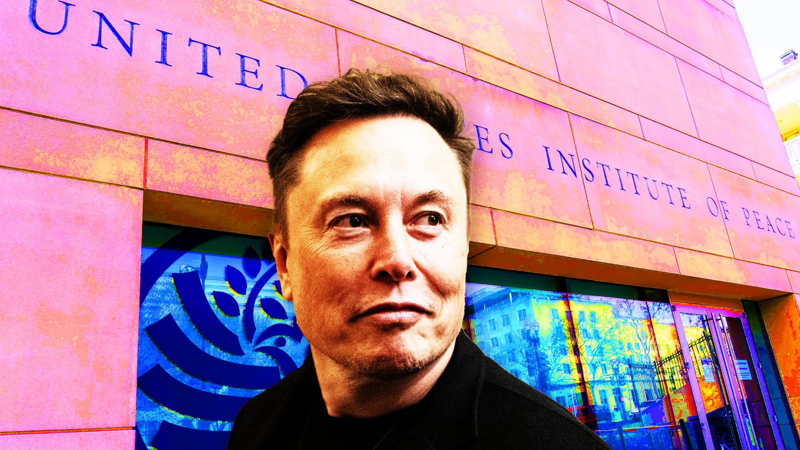 Elon Musk, Institute of Peace composite