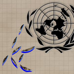 A photo illustration showing the leaves from the UN logo falling off.