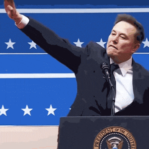 Elon Musk salutes.