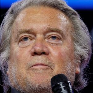 Elon Musk, Steve Bannon