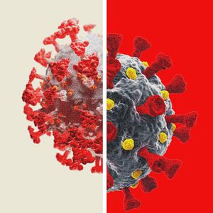 220904-covid-mutation-hero_fvud1m