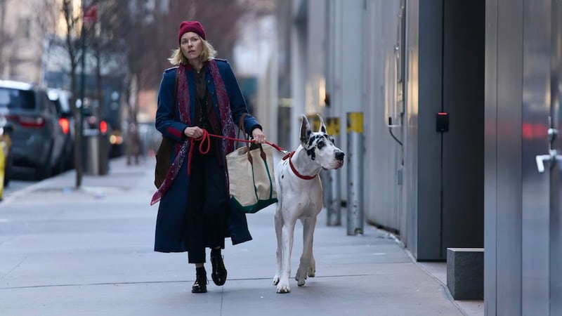 Naomi Watts in The Friend.
