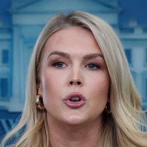 Karoline Leavitt said the administration had no problem with the feud between Elon Musk and Peter Navarro.