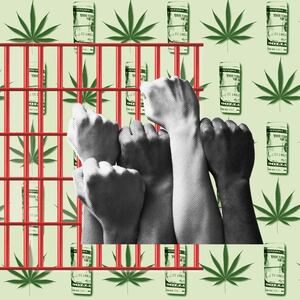 122022-ganeva-marijuana-hero_ksx3if
