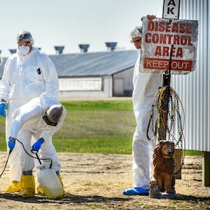 USDA workers disinfected a work crew at a Jennie-O turkey farm in Eden Valley, Minnesota, at the end of a day, Thursday, April 30, 2015.