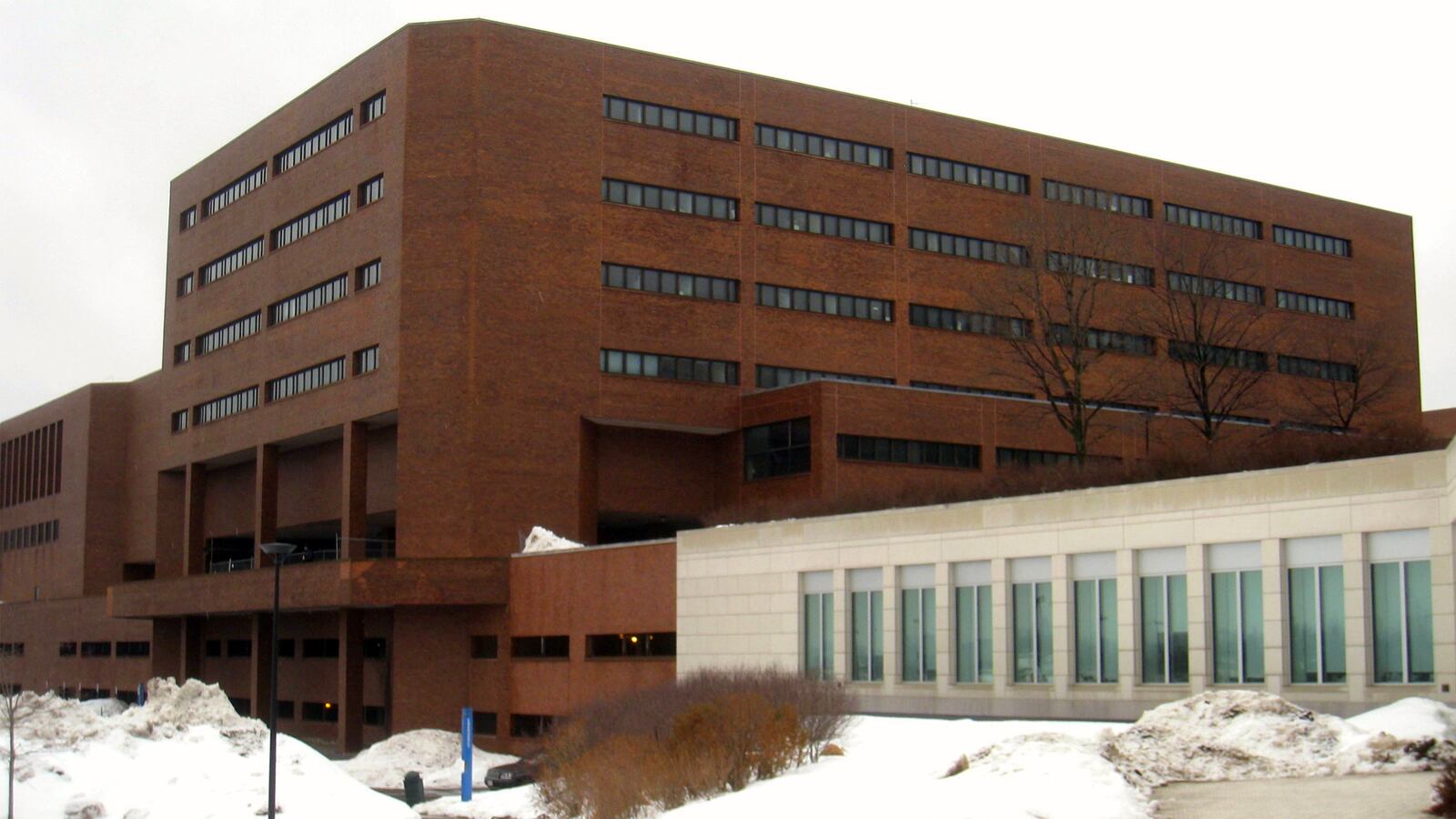 200203-umass-corona-tease_wgsbep