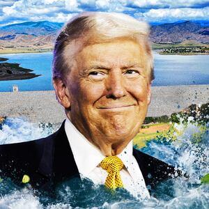 Donald Trump and the Success Dam