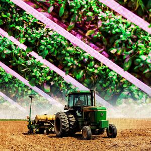 211124-vertical-farming-tease-01_jhx8xd