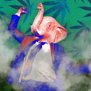 230418-fever-dreams-marijuana-tease_avsk4l
