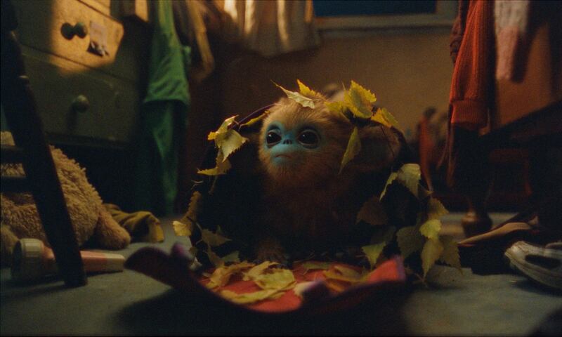 Baby Ochi