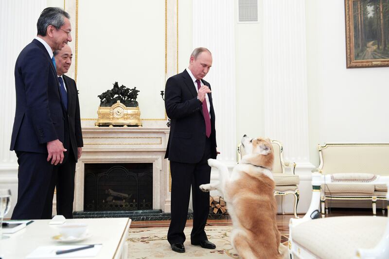 Russian President Vladimir Putin plays with his dog Yume, a female Akita Inu, before giving an interview to Japanese Nippon Television and Yomiuri newspaper at the Kremlin in Moscow, Russia, December 7, 2016.