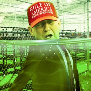 A photo illustration of President Donald Trump floating in swamp water at the "Alligator Alcatraz" detention center in Florida.
